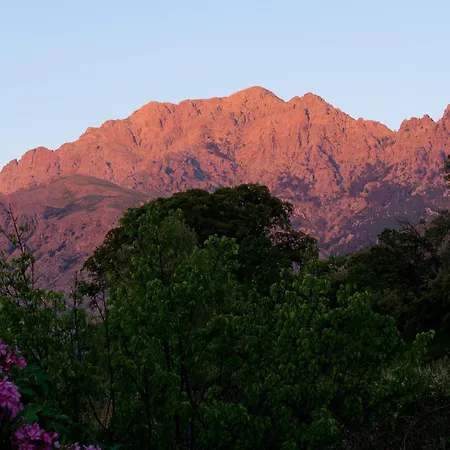 Cutalello Cote Montagne