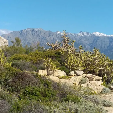 Lägenhet Cutalello Cote Montagne *