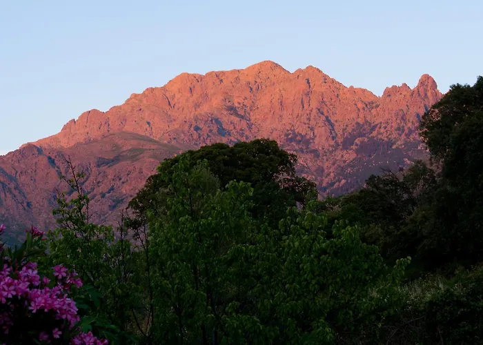 Cutalello Coté Montagne