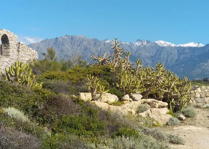 Appartement Cutalello Coté Montagne *
